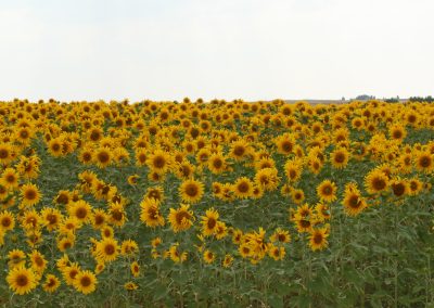 IMG_1836